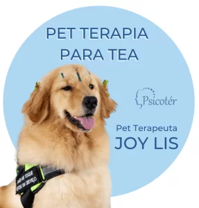 Comunicacao no autismo nao verbal 1 e1614272810836 Pet terapia: autismo não verbal